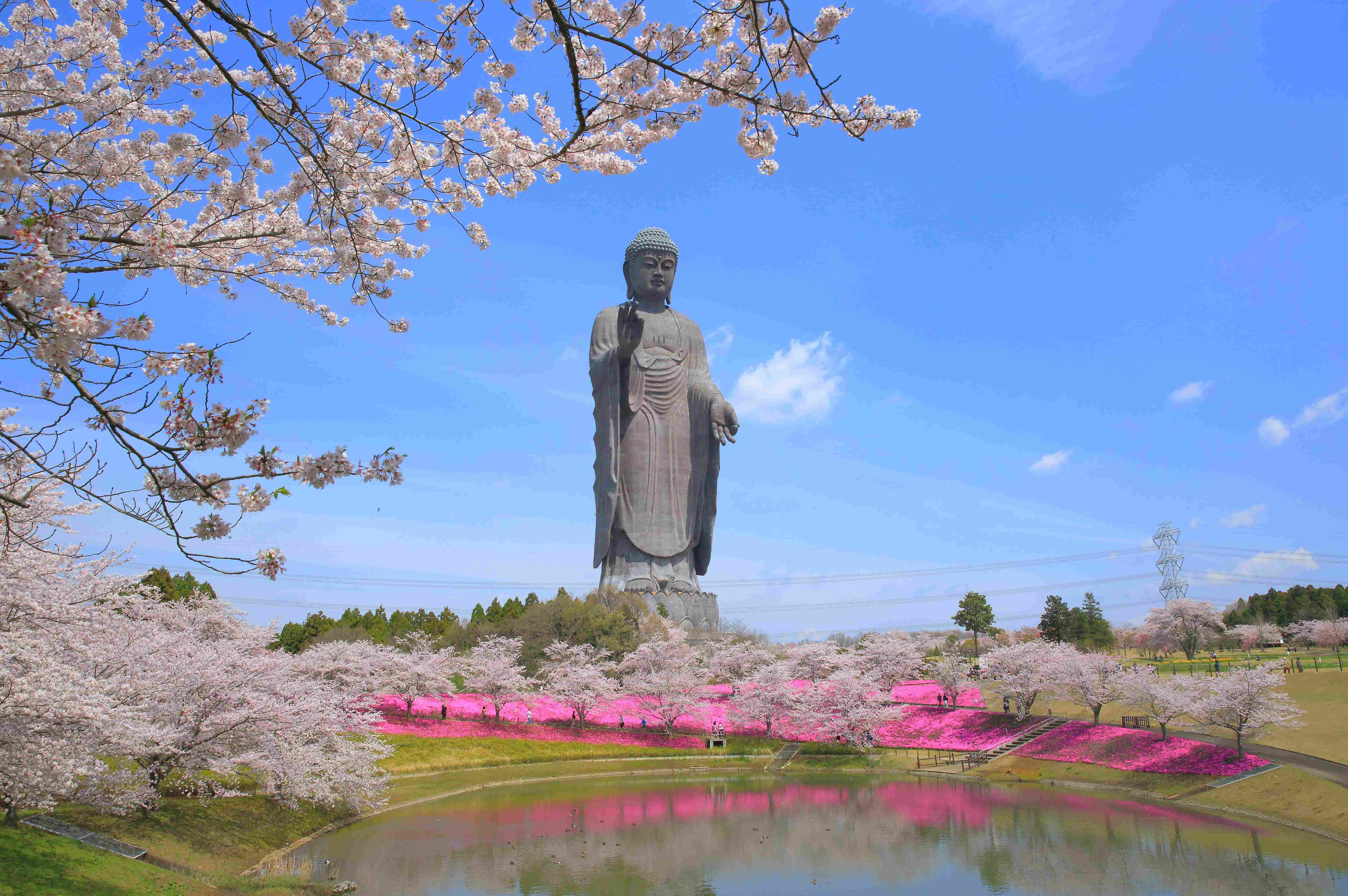 🙏 우시쿠 대불 이미지 4